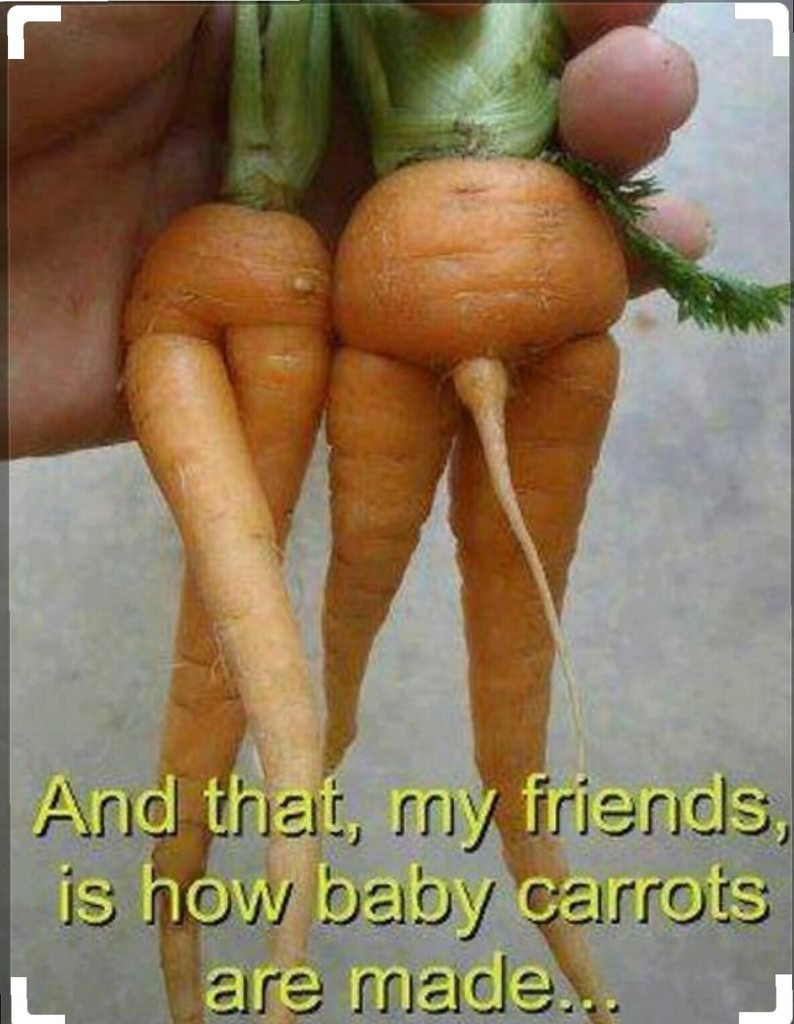 Прикольная морковка