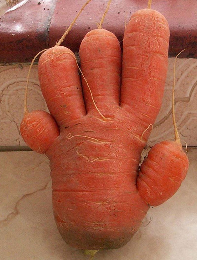 Бешеная морковка