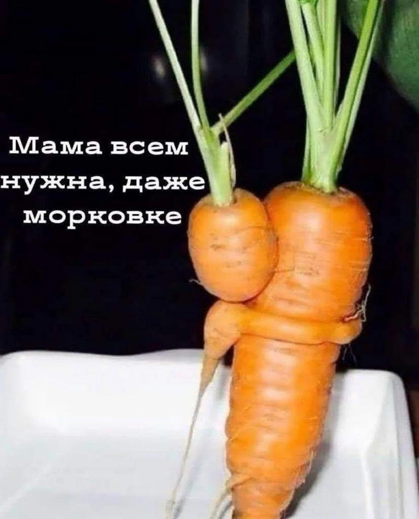 Мама морковь