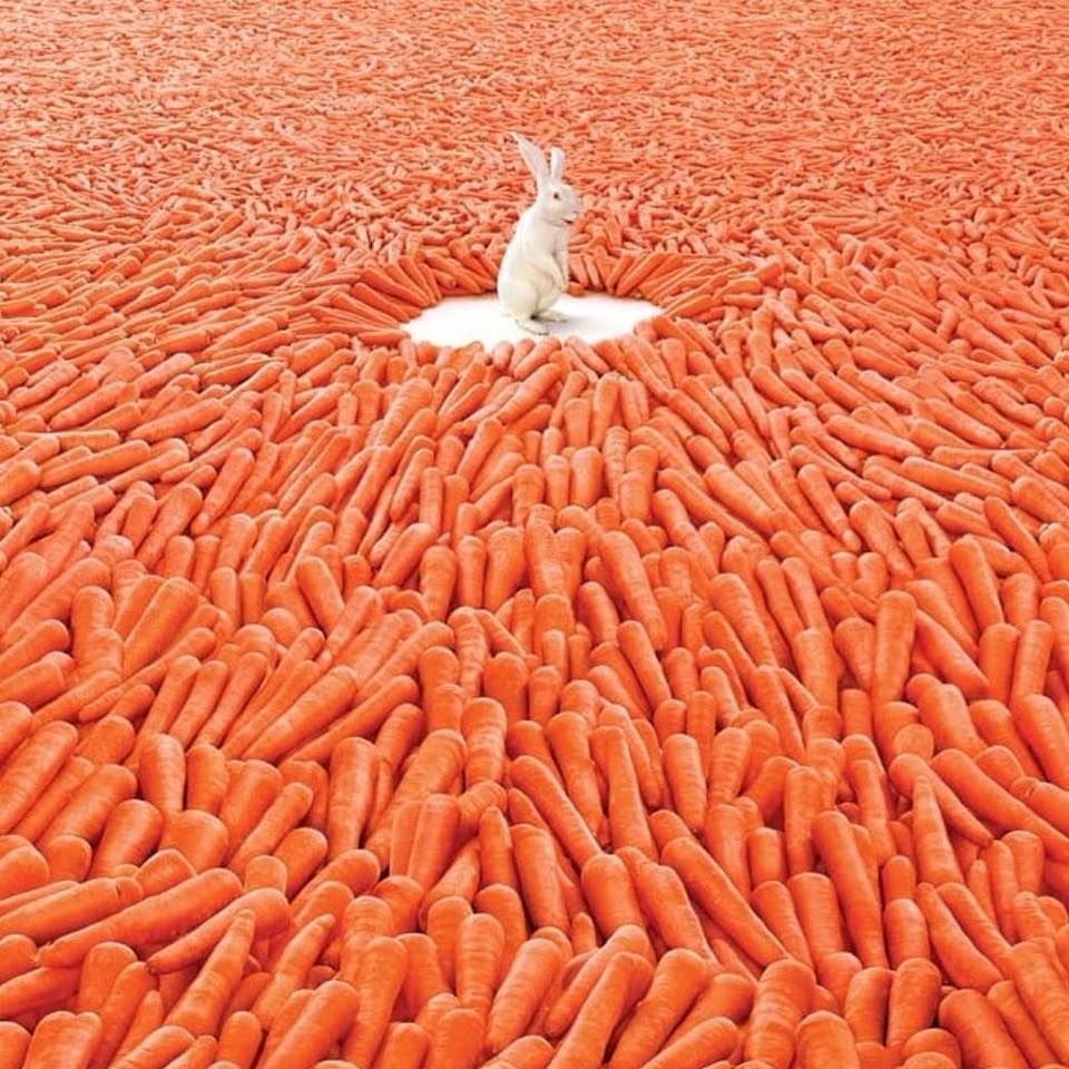 Заяц с большой морковкой