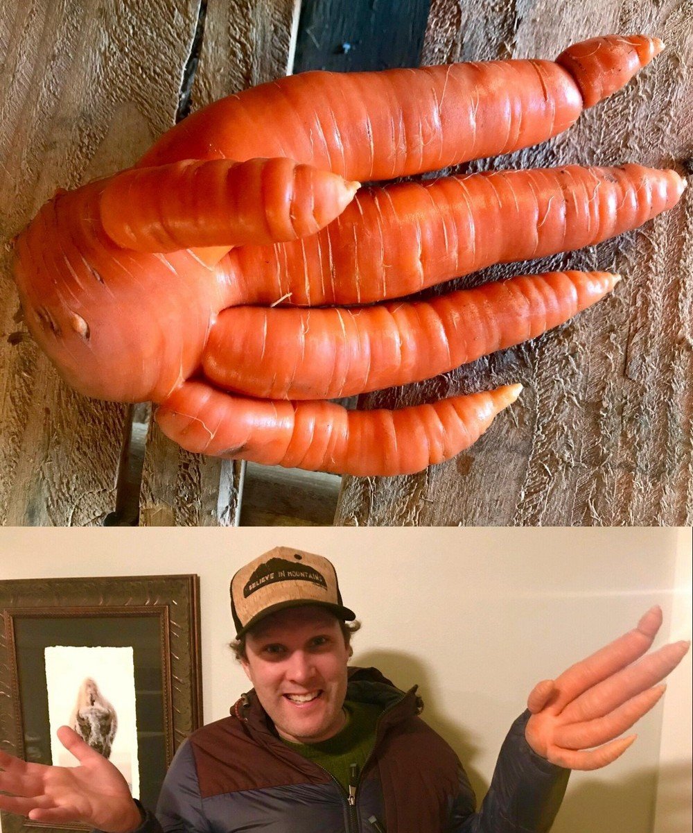 Морковь необычной формы