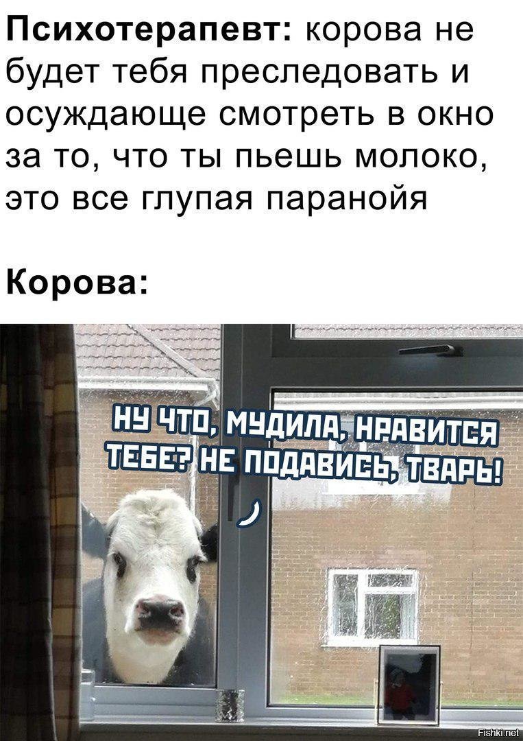 Мемы с коровами