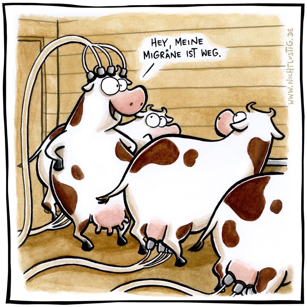 Шутка молоко. Смешные коровы. Корова юмор. Шутки про коров. Веселая корова..