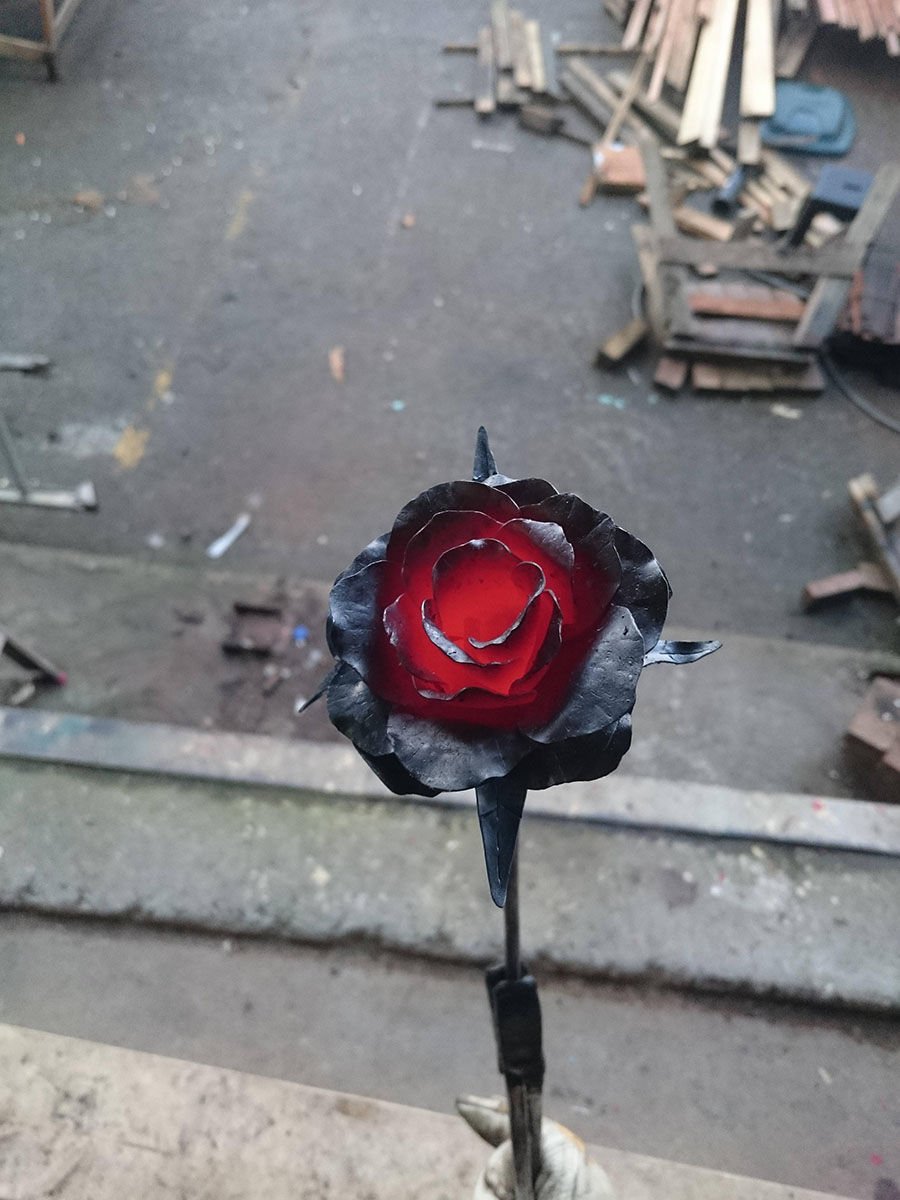 Смешная роза цветок