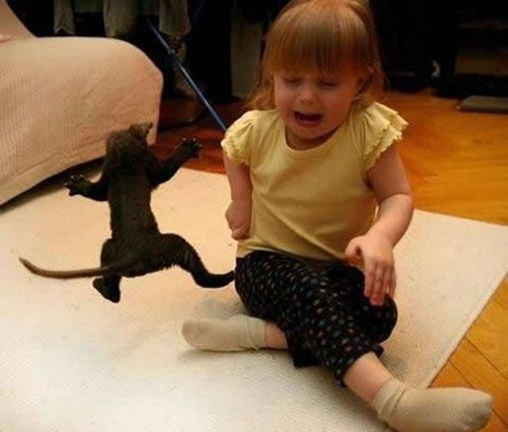 Ребенок мучает кота