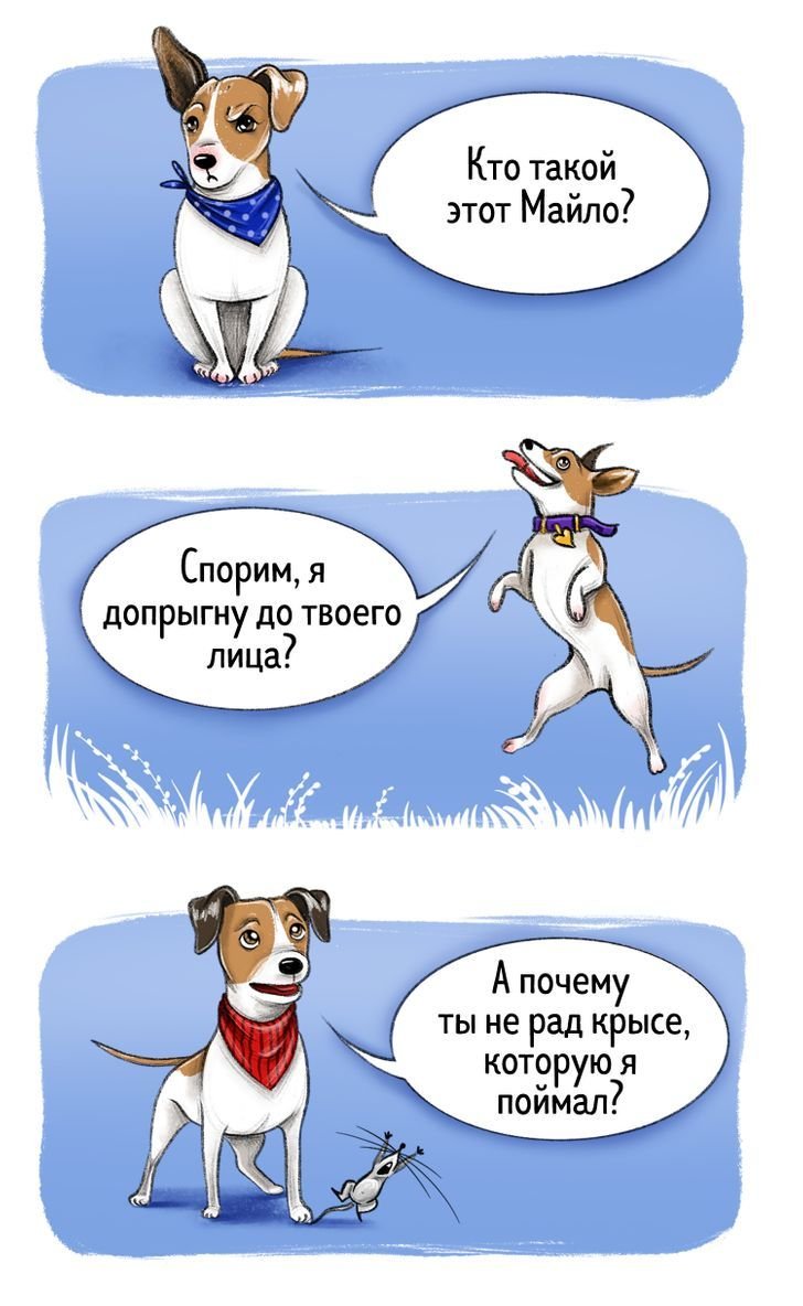 Комикс породы собак