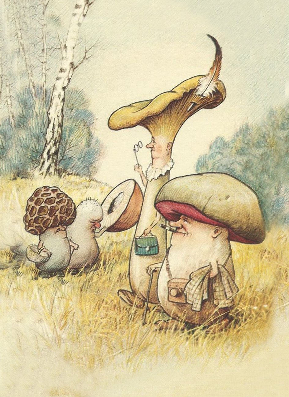 Прикольные грибы