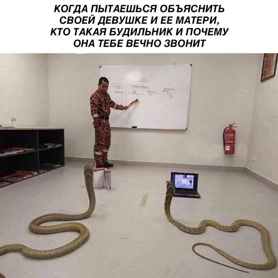 Змей Сергей и Олег стратег