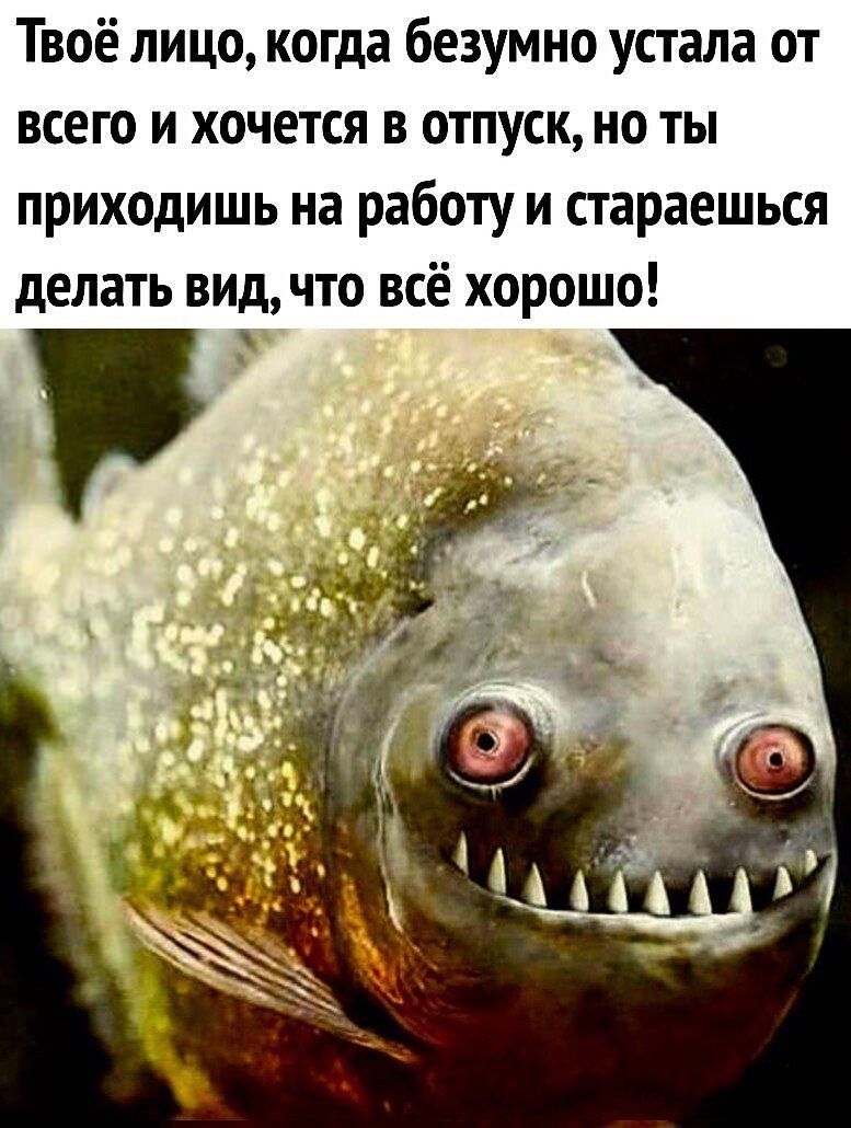 Рыба улыбается
