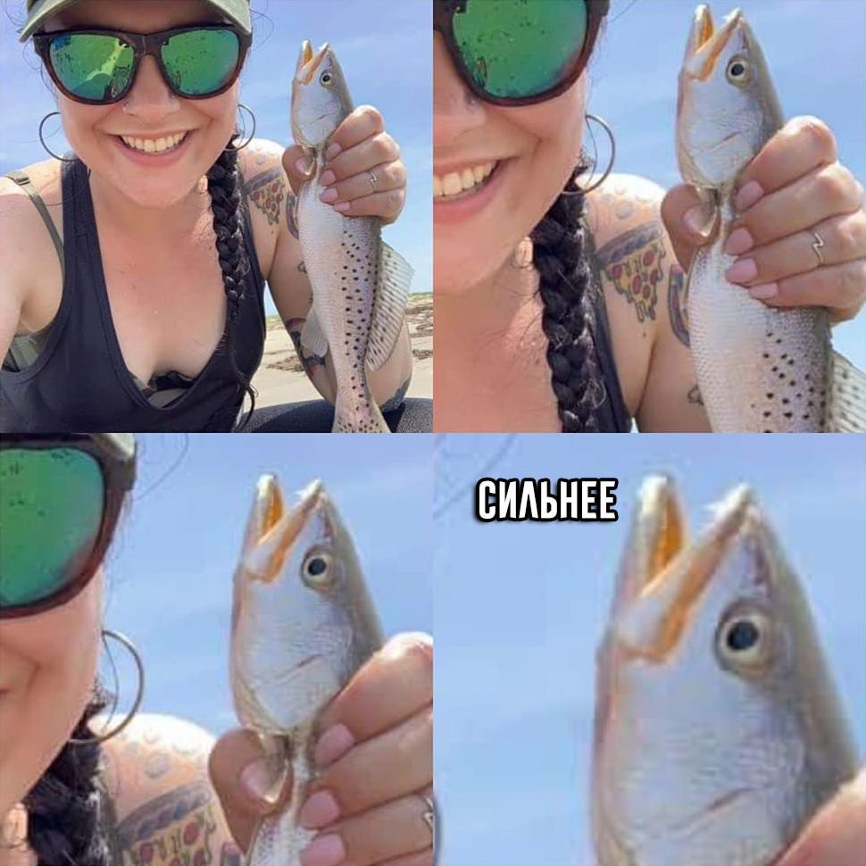 Мемы с рыбой и с рыбой