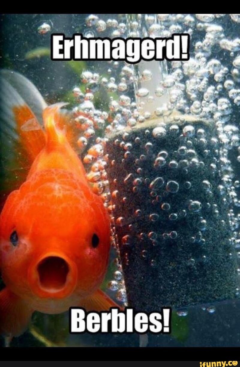 Рыбка пузырёк