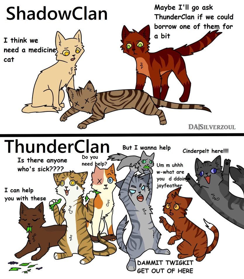 Комиксы про котов воителей приколы