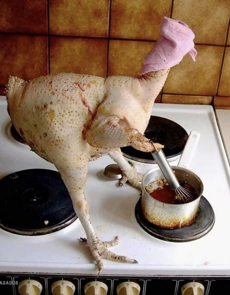 Жена сказала поставить варить курицу