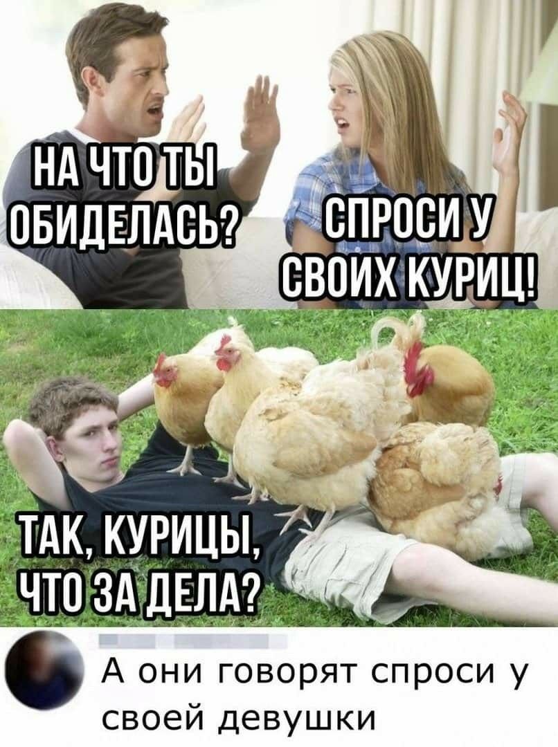 Мемы с курицей