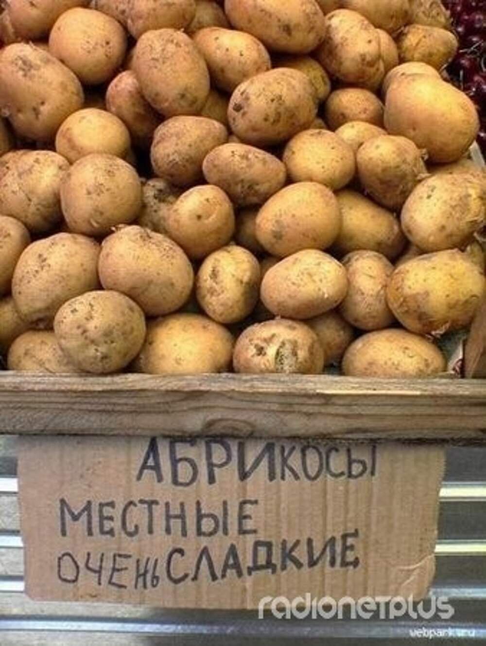 Прикольная картошка