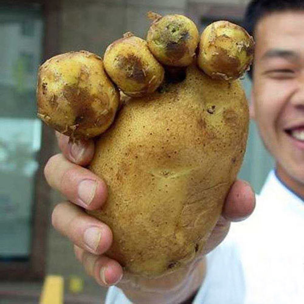 Смешная картошка