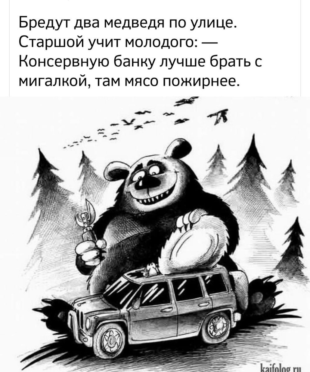 Медвежонок карикатура