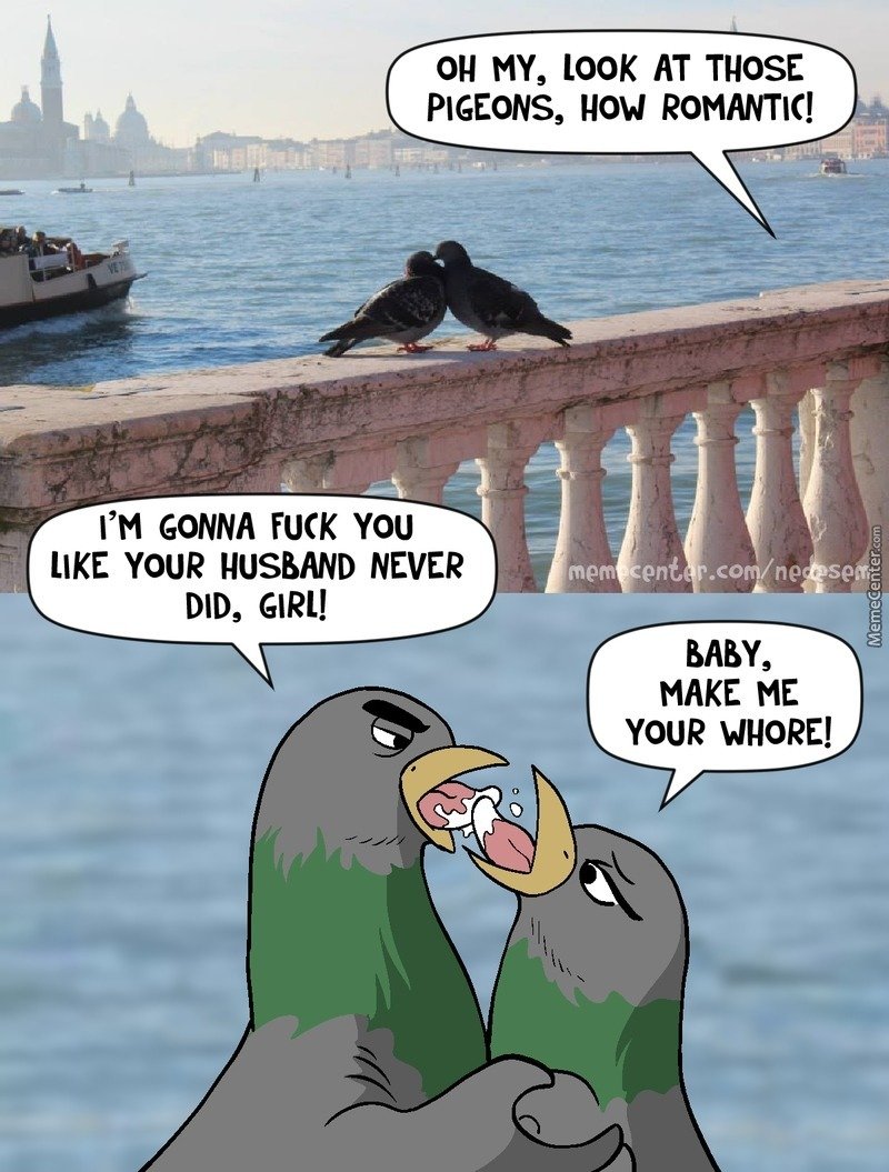 Смешные мемы про голубей