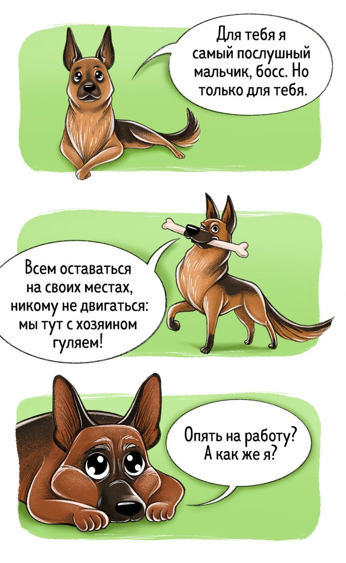 Комиксы о разных породах собак