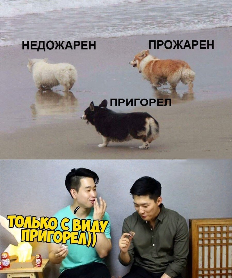 Мемы про корейцев и собак