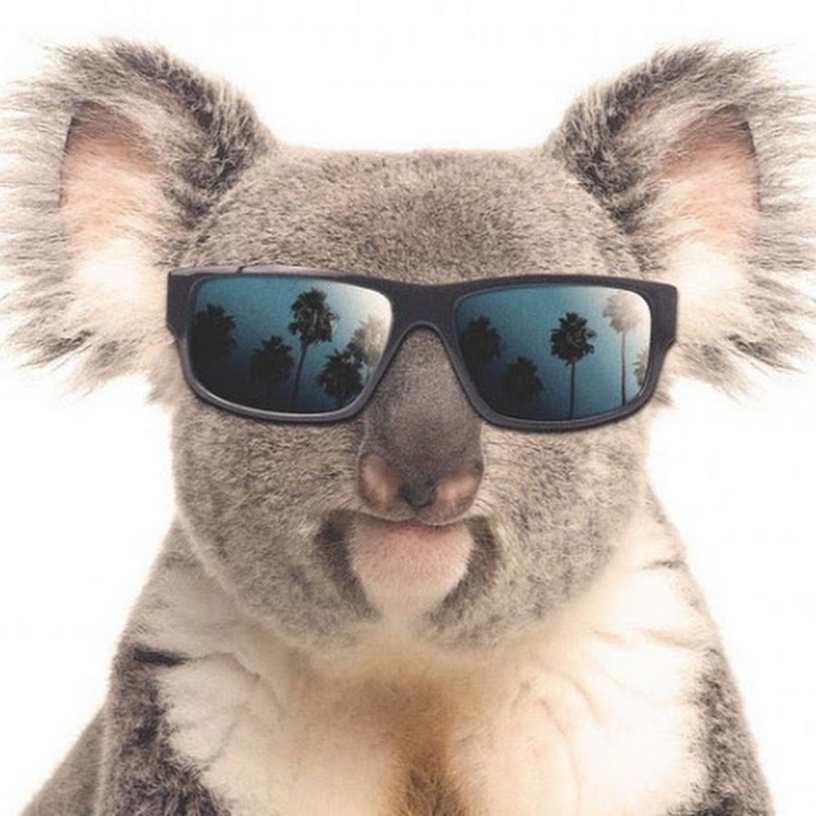 Oliver Heldens Koala