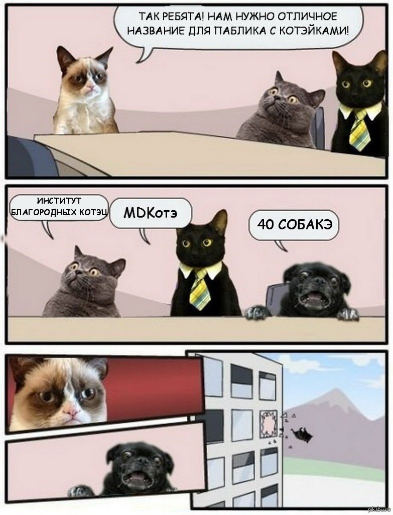 Смешные мемы с котами