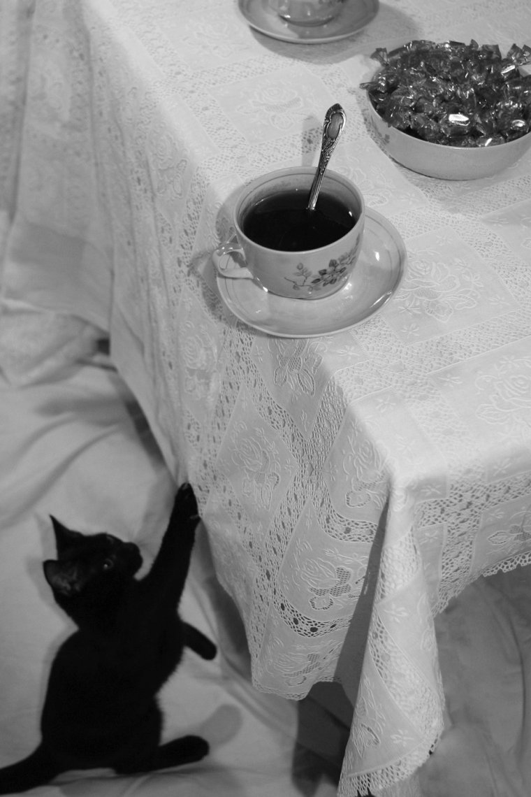 Котик с кофе в постель