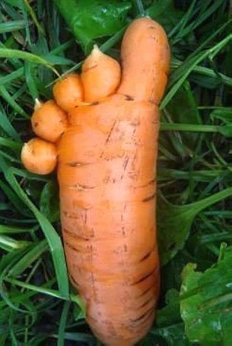Необычная морковка