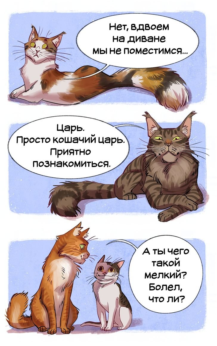 Комикс породы кошек