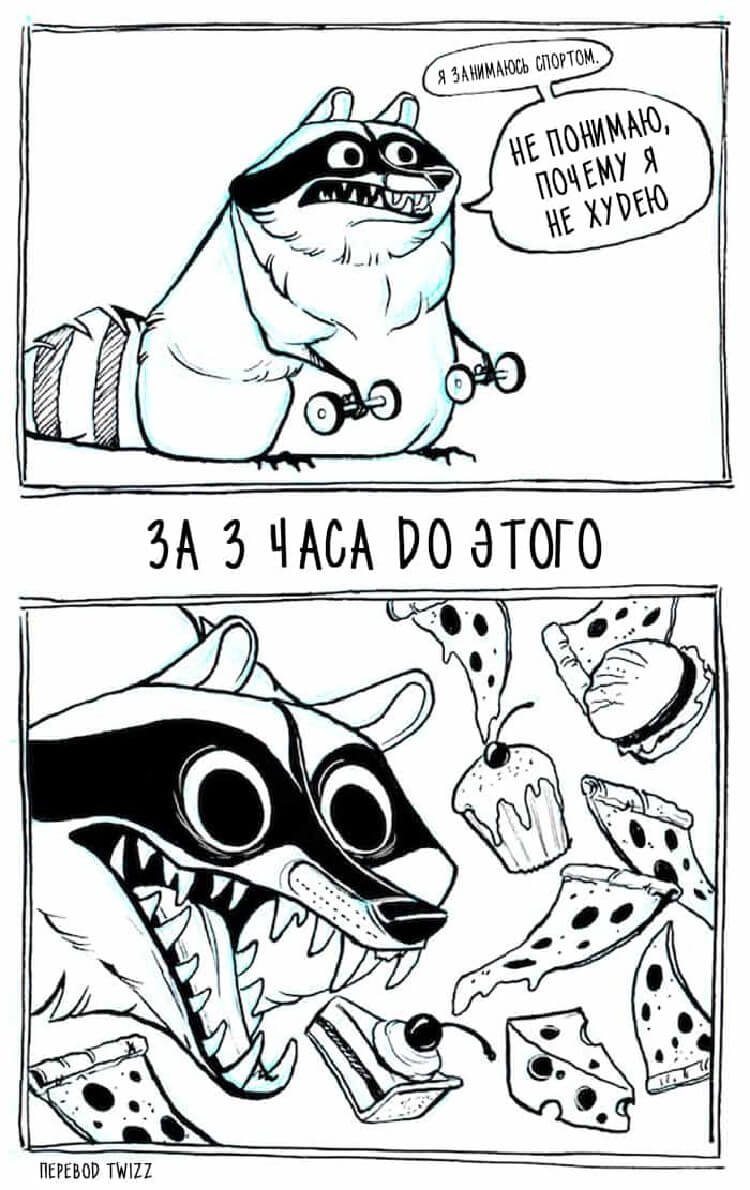 Комикс про енотов