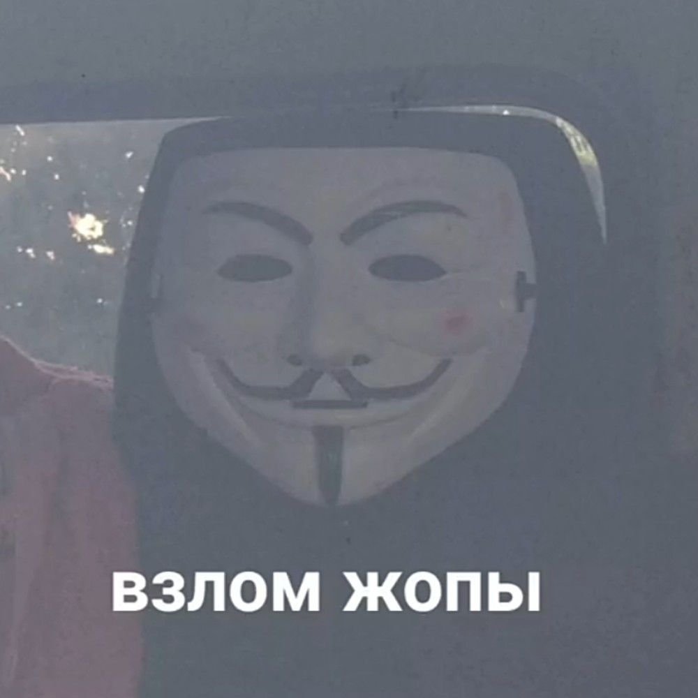 Кот в маске Анонимуса