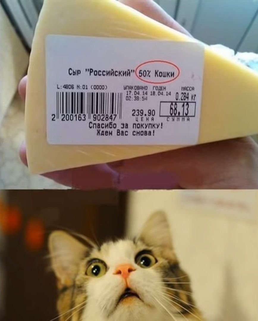 Сыр смешно