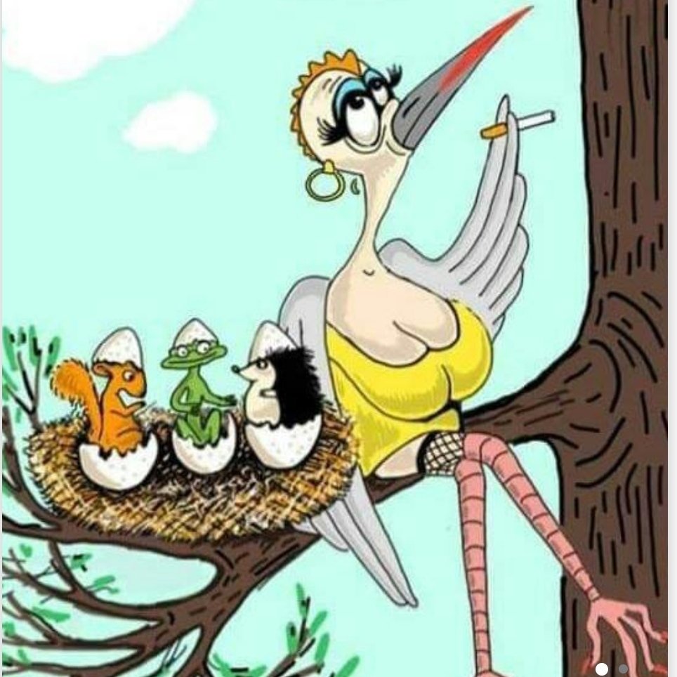 Карикатуры про птиц