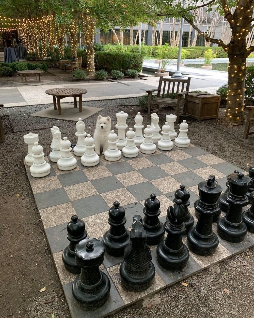 Веселые шахматы