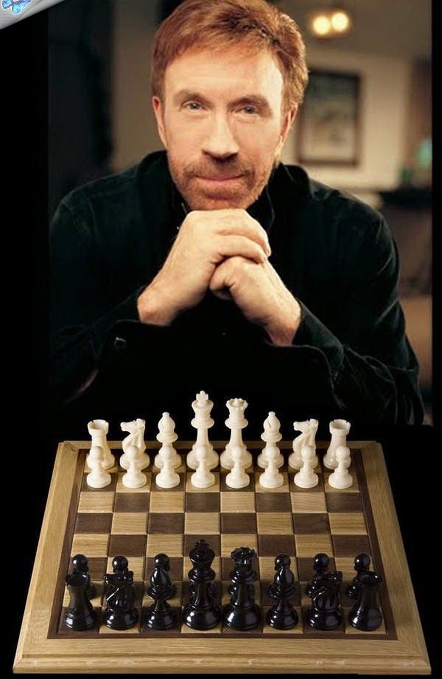 Чак Норрис шахматы