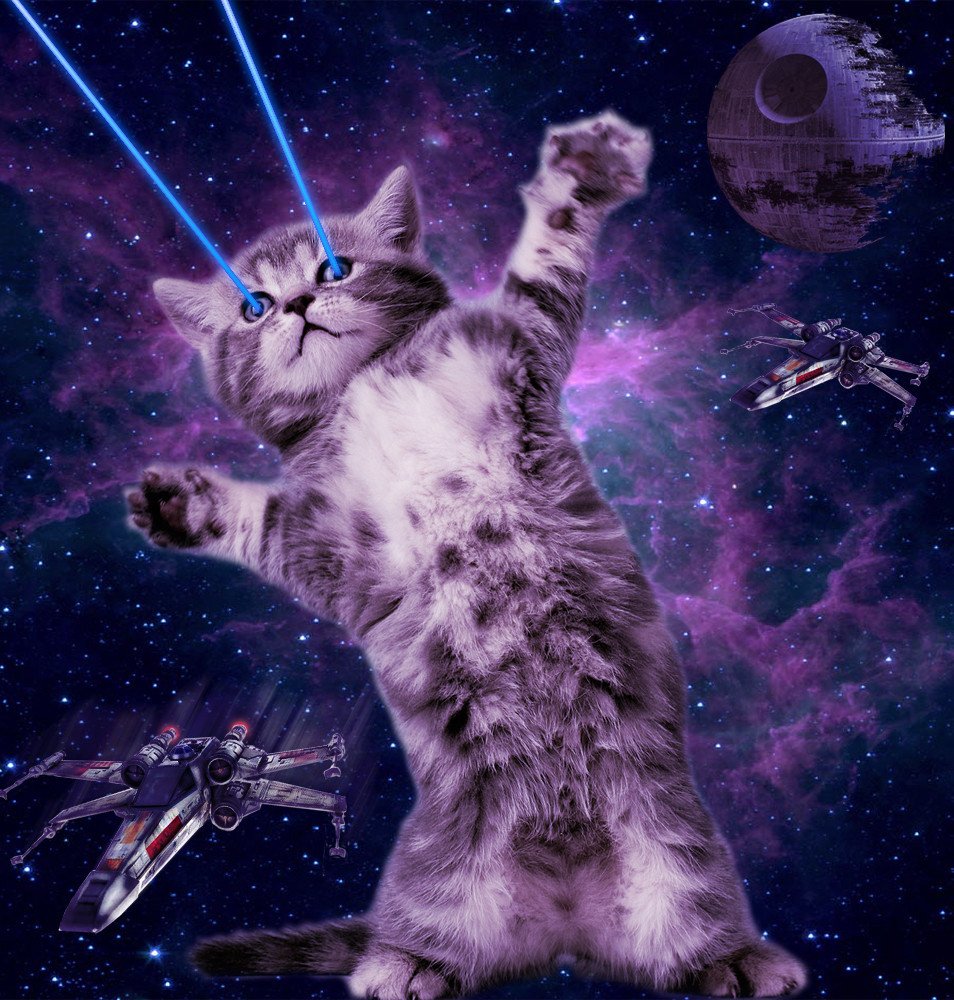 Котейки в космосе