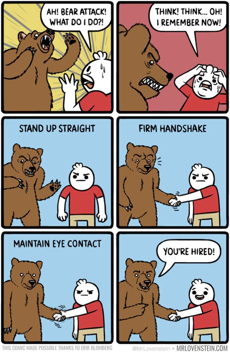 Медвежонок комикс