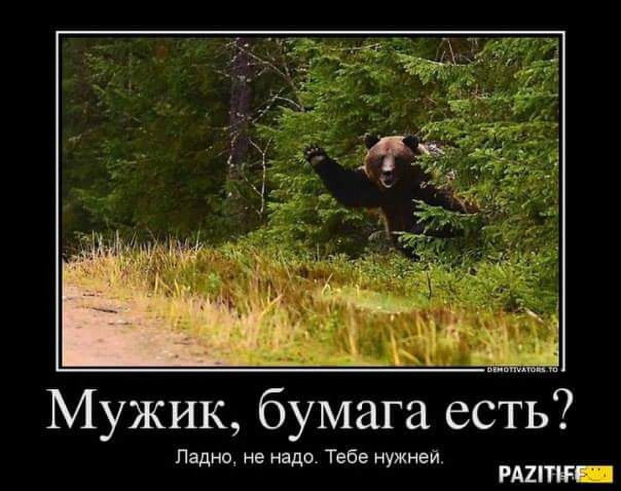 Увидела в лесу мужика. Шутки про медведя. Медведь демотиватор. Приколы в лесу. Смешные анекдоты в лесу.