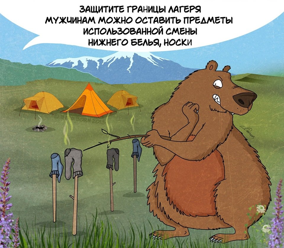 Шутки про медведя