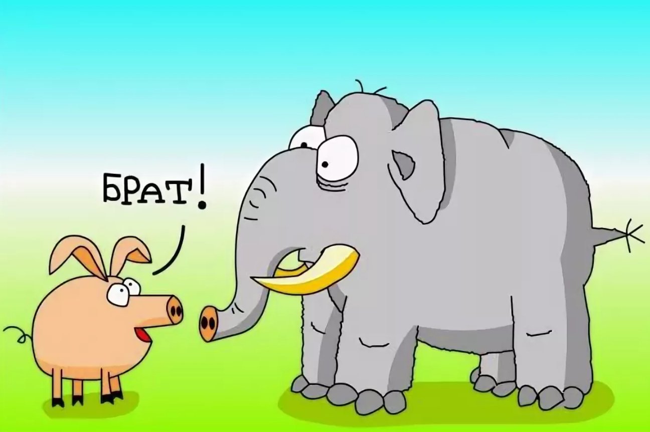 Слон и свинья. Анекдот про слоненка. Слон карикатура. Смешной слон анекдот.