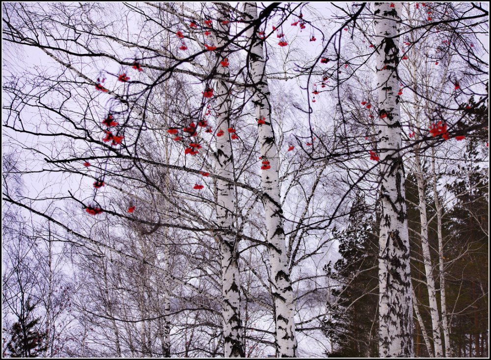 Рождество со снегом в России
