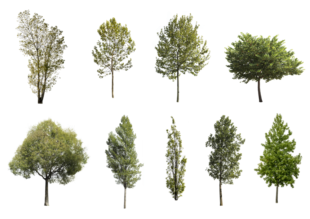 Деревья для визуализации