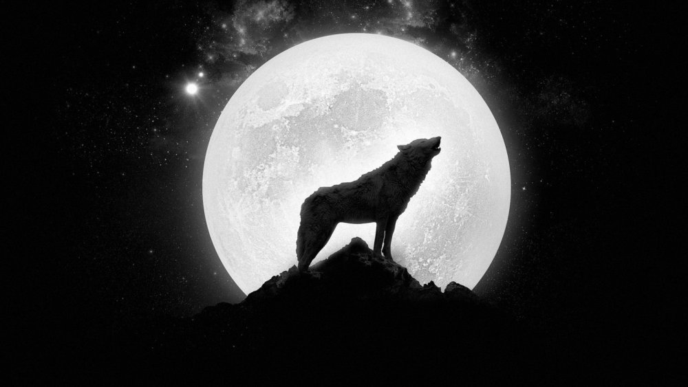 Одинокие волки