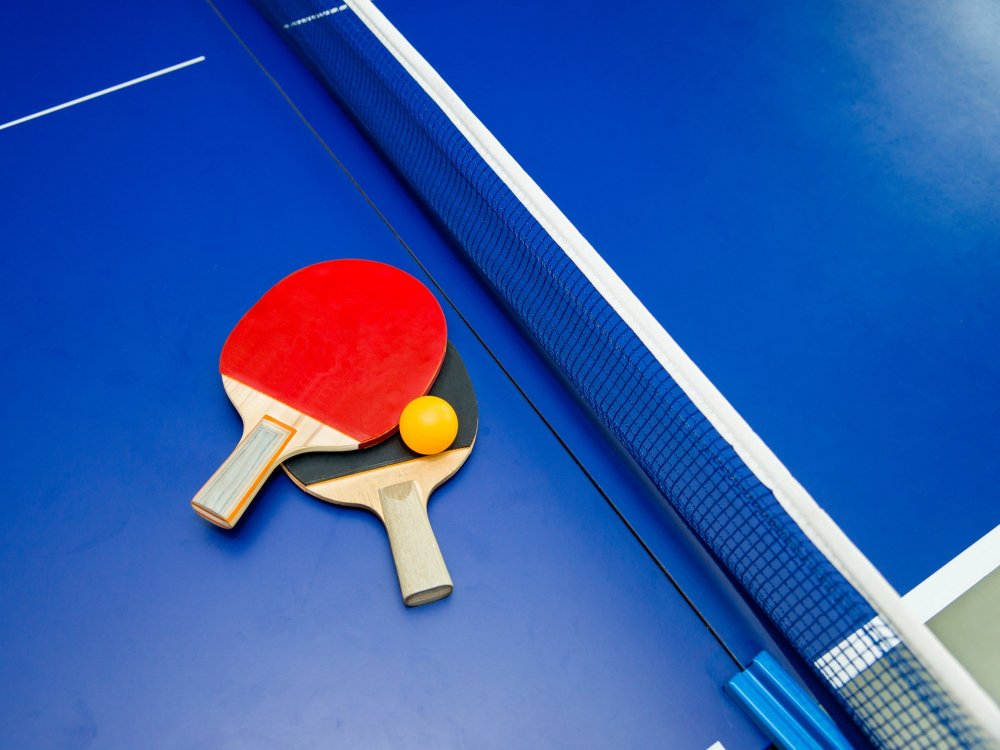 Настольный теннис "King Pong