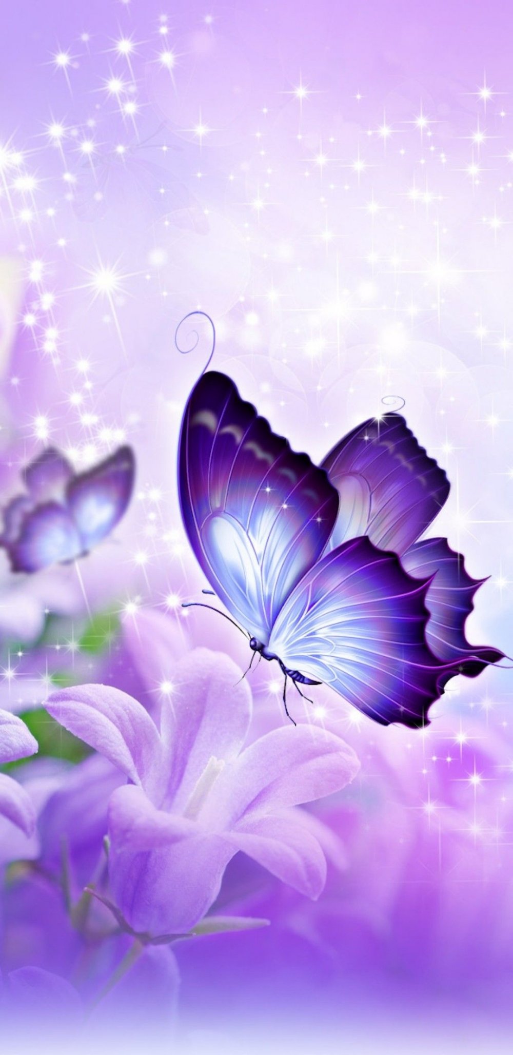 Фиолетовые бабочки картинки