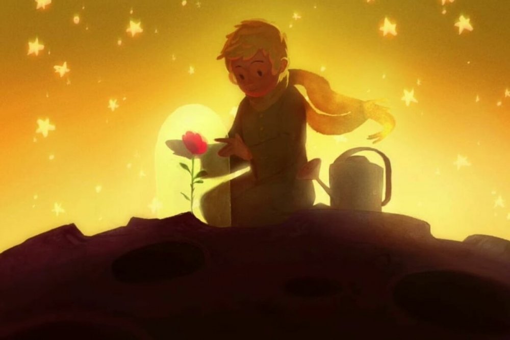 Маленький принц и роза картинки