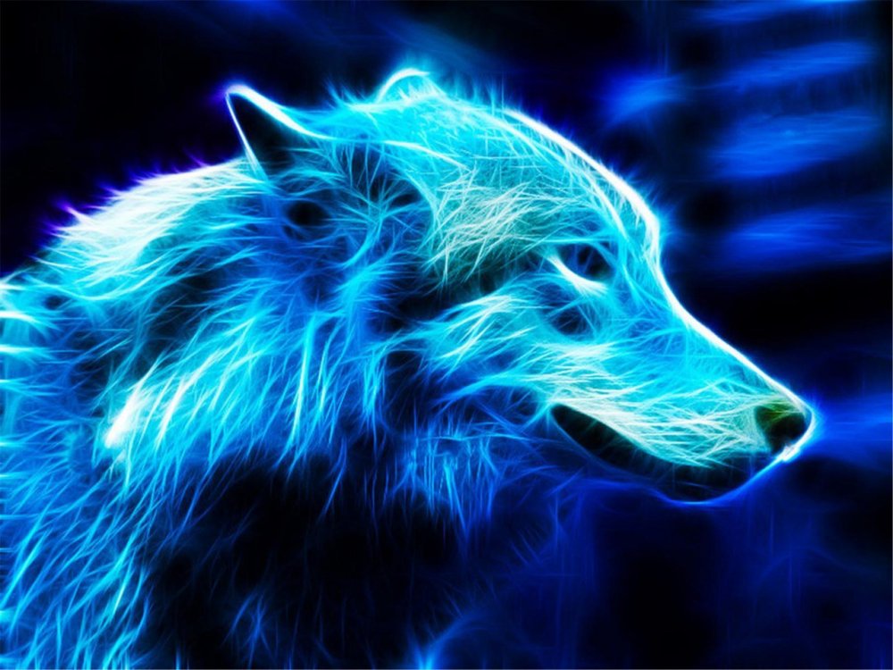 Волки фэнтези красивые