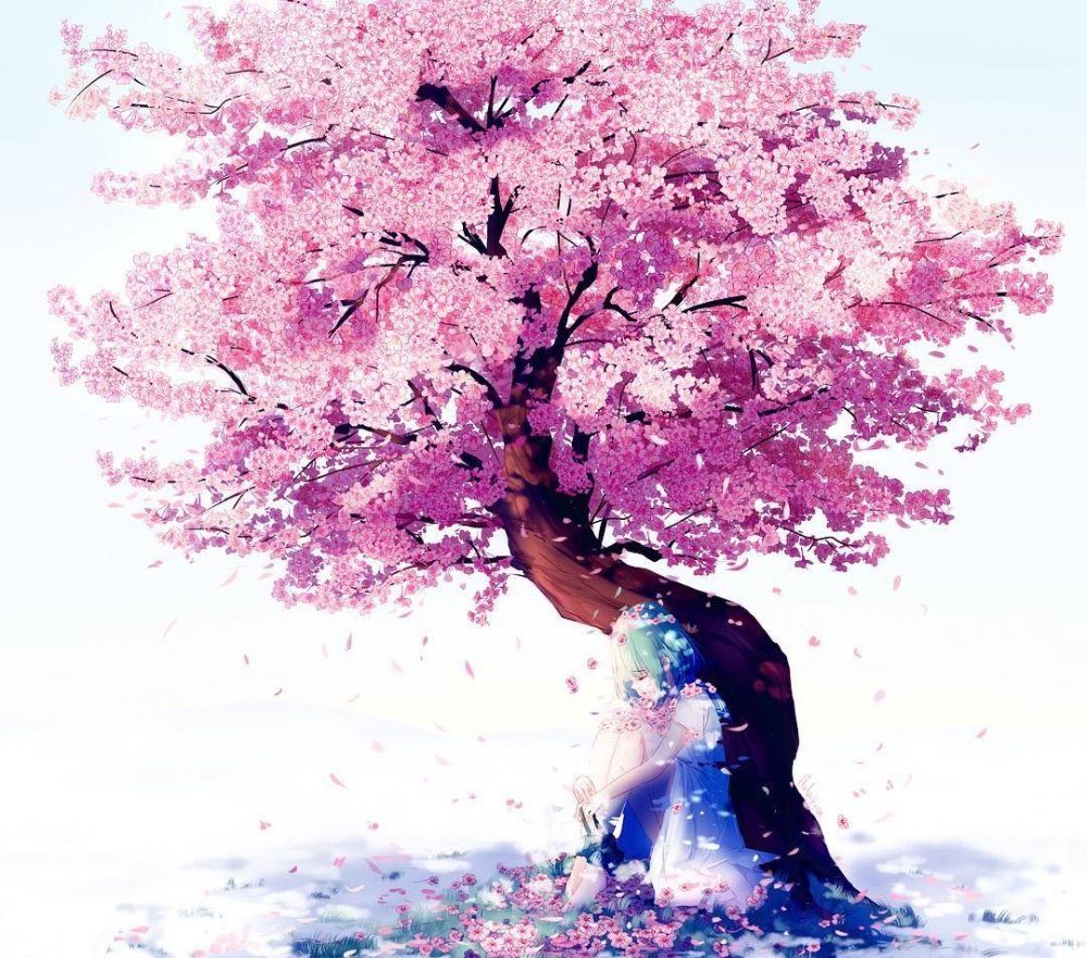 Сакура дерево картинки
