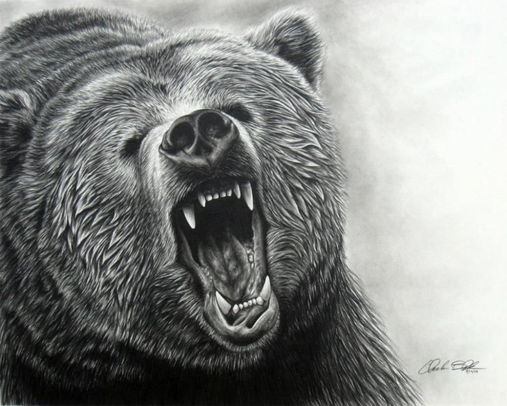 Свирепый медведь