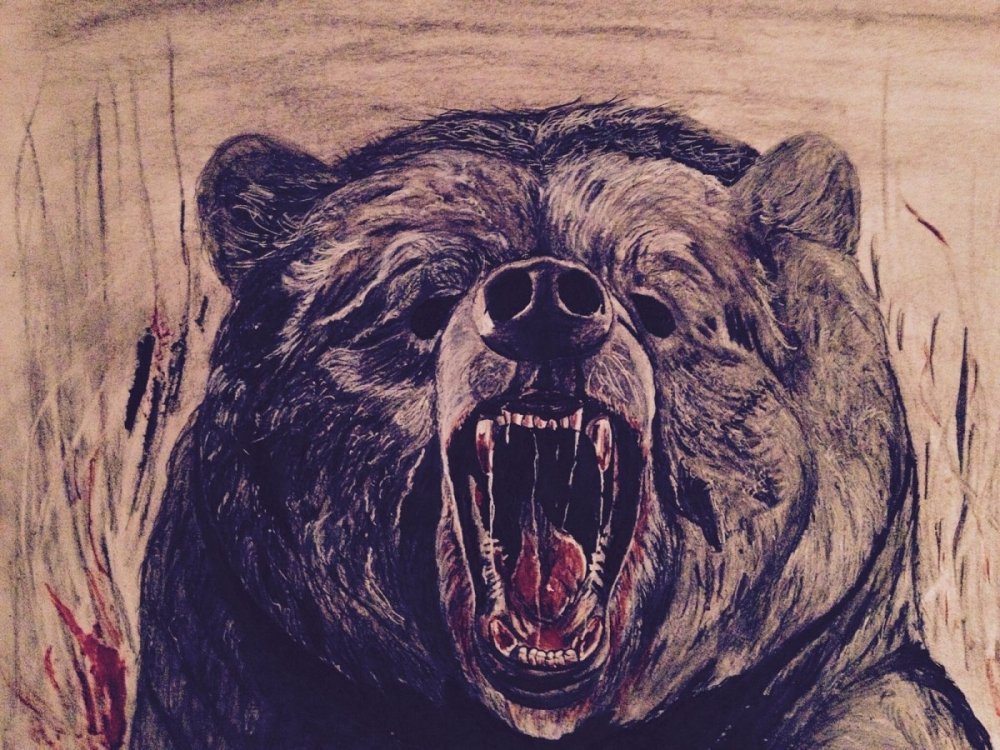 Медведь оскал арт